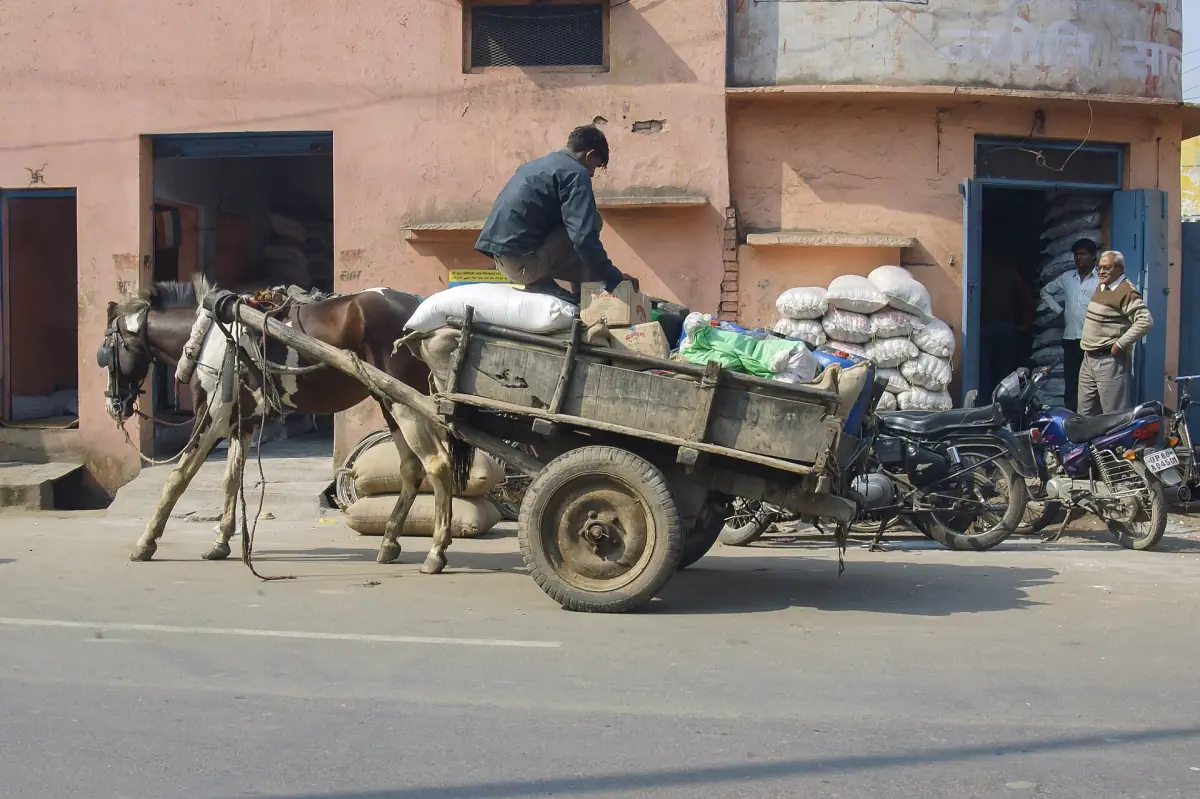 Horse drawn cart with sacks passing parked scooters on an Agra street