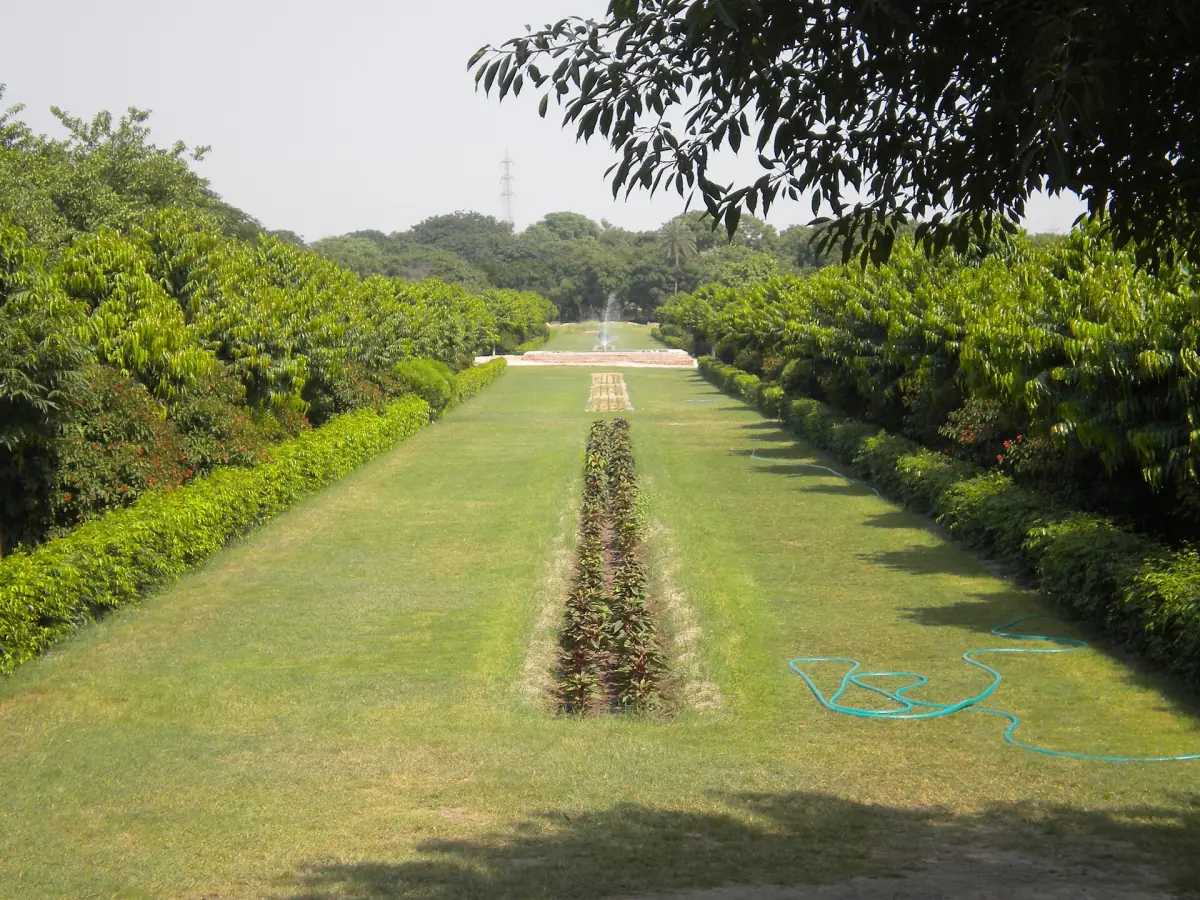Long central lawn walkway of Mehtab Bagh between hedges and trees