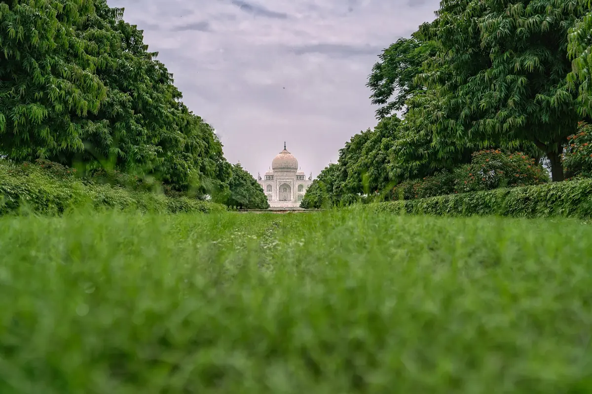 Grass and trees at Mehtab Bagh leading the eye to the distant Taj Mahal
